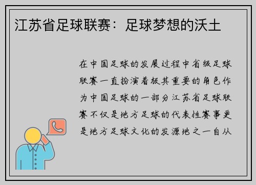江苏省足球联赛：足球梦想的沃土