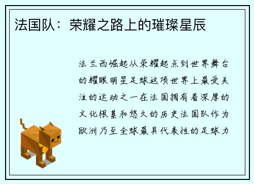 法国队：荣耀之路上的璀璨星辰