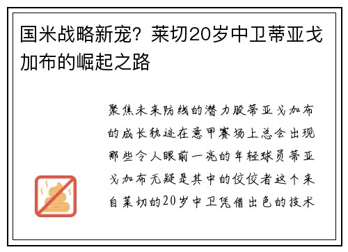 国米战略新宠？莱切20岁中卫蒂亚戈加布的崛起之路